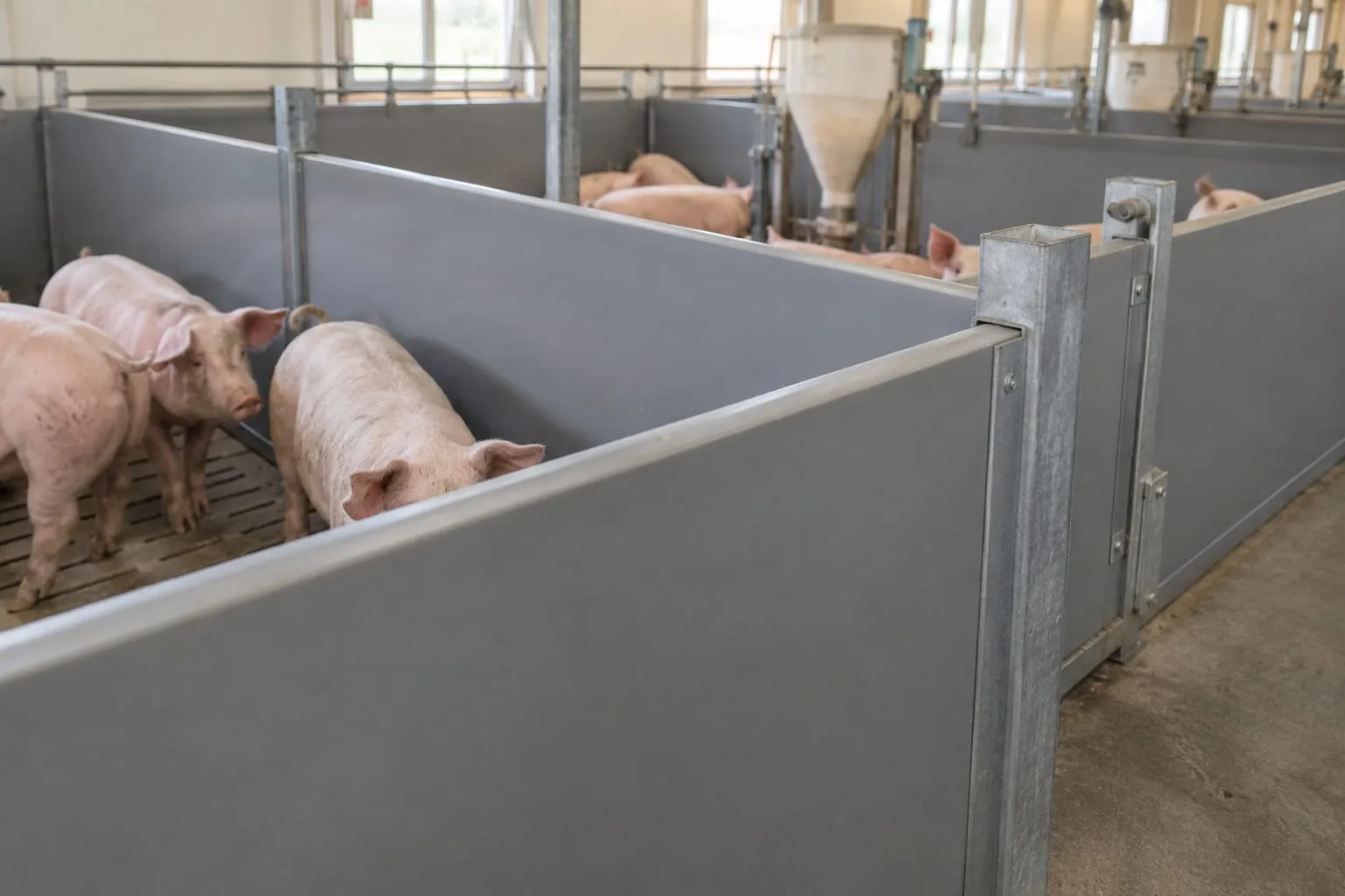PVC Pen Partitions for a pig farm